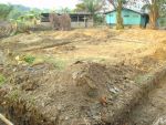 Poultry003.JPG