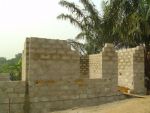 Poultry015