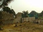 Poultry016