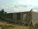 Poultry023
