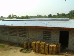 Poultry031