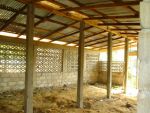 Poultry032