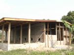Poultry033