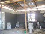 Poultry038