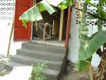 Poultry043