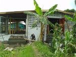 Poultry044