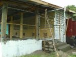 Poultry045